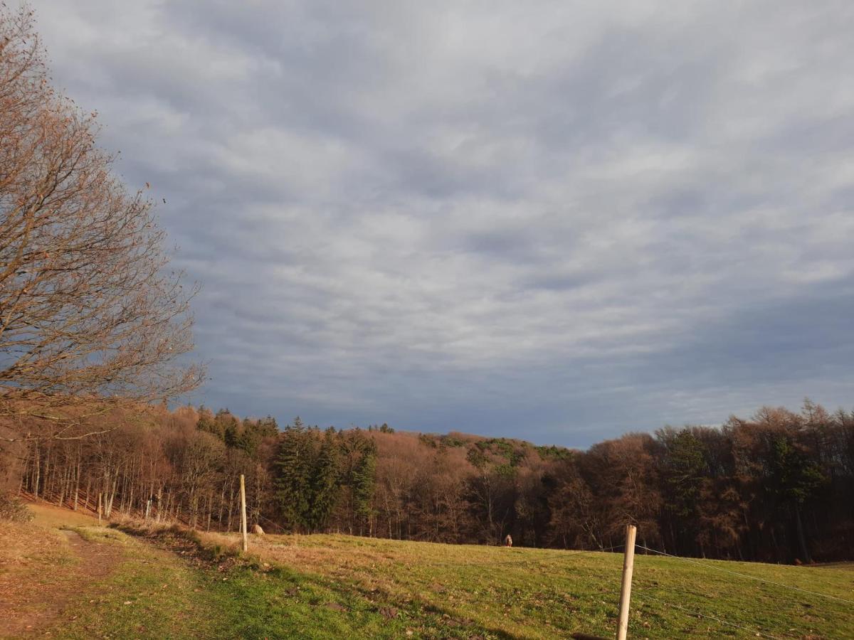 Erholungsheim Im Wienerwald Irenental Buitenkant foto