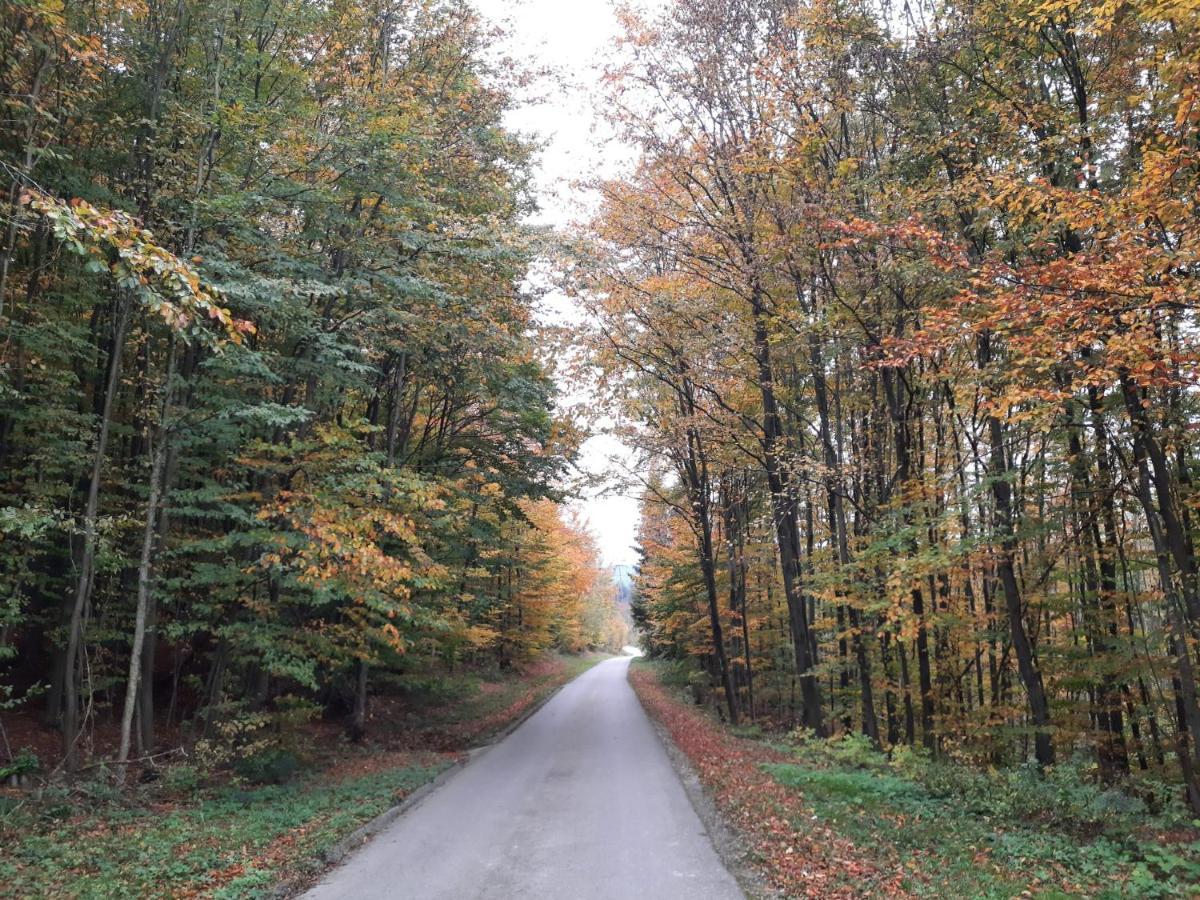 Erholungsheim Im Wienerwald Irenental Buitenkant foto